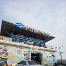 형제수산 | 경주 감포 형제수산 포장 후기