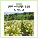 수국정원 | 모멘도르 원주 수국 정원 카페 아기랑 방문 후기