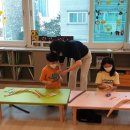 토탈리스 이미지