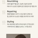 보타랩헤어 이미지