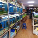 거성유리 수족관 이미지