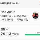 테라헤