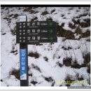 고산터널 등산로 이미지