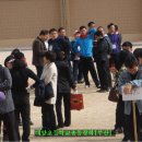 가야초등학교 이미지