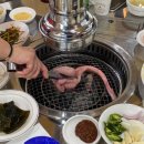 하나곰장어 네이버블로그
