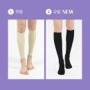 제이라인 이미지