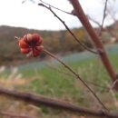 제주아씨 이미지