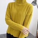 폴라 이미지
