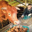 월송농장 이미지