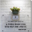 섬들애 이미지