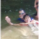 계곡이야기 이미지