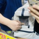 아라종합동물병원 이미지