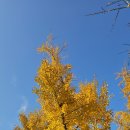 우아한 게으름 이미지