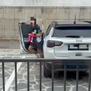 피자스톰 파주금촌점 이미지