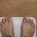임신 24주~27주 기록 7개월 증상 봄빛병원 임당검사 결과, 역류성식도염, 다리 붓기, 밸런스핏 후기