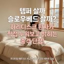파워독 | 매트리스 3050세대 30평대 안방 기흥 리빙파워센터 체험 후기! 허리디스크 슬로우베드 비교로 숙면 해결