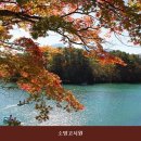 소망고시원 - 1226 | 소망고시원