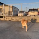 여장군PC 이미지