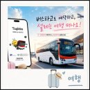 서울버스㈜ 서울공항리무진㈜ | 버스타고앱으로 인천공항 1터미널 공항리무진버스예약방법