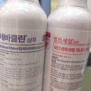 풍세일번약국 이미지