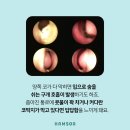 함소아한의원 서대전점 이미지