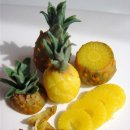 [12월 20일 탄생화] 파인애플(Pineapple) : 완전 무결 이미지