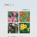 아사리판 이미지
