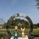 백조꽃직매장 | 봄나들이 튤립명소 데이트추천 평택시농업생태원 현황