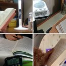 동아대학교 도서관 이미지