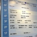 임신 14주 성별확인 군포 연세이현진산부인과의원 일요일 진료