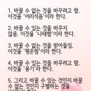 수갤러리 이미지
