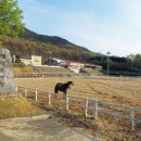 대덕승마장 이미지