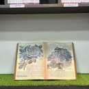 개울건강도서관 | [강의후기]개울건강도서관 감정디자인, 마음드로잉 작가 고선영 강의