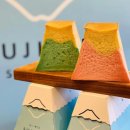 대교그린카부분정비 | 도쿄 근교 소도시 여행｜후지산 최고의 뷰 가와구치코 교통편, 포토 스팟 정리