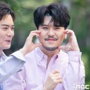 핑크젤리 이미지