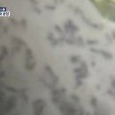진성유통 이미지