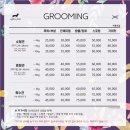 아지다펫 이미지