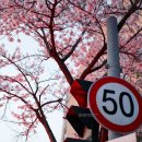 진천고 앞 이미지