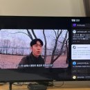 스테이포그