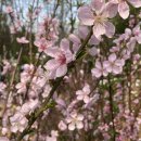 대림가든 이미지