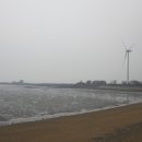 방아머리공원(솔밭) 이미지