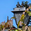 용성버스정류장 이미지