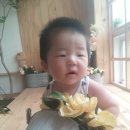 예성올리브