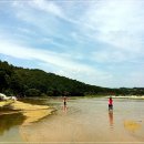 [번개단체] 모래가 흐르는강 ...내성천 물길걷기 & 무섬마을 탐방여행.6/14(일) 이미지