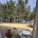 삼척블루펄펜션 | [용화찬미 삼척] 용화해수욕장 오션뷰 카페 내돈내산 후기 (feat. 블루리본)