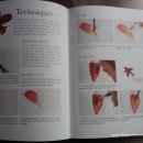 쉽게 배우는 꽃 그리기 이미지
