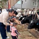 동아목장 이미지