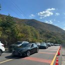 진사슴농장 | 엄청 추운 간월재 날씨 후기 및 쉬운 사슴농장 코스부터 주차, 매점까지