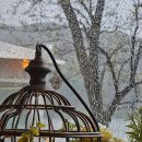 오즈카페 이미지