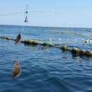 삼척항 해오름 민박 이미지